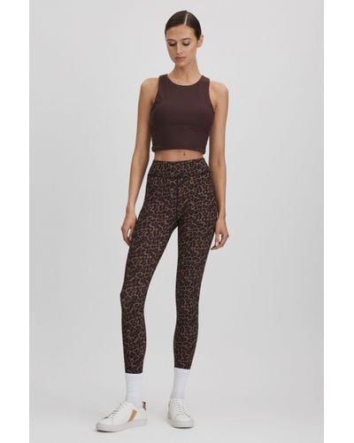 Brown Leggings with leopard print Dolce & Gabbana - Vitkac Canada