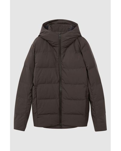 Scandinavian Edition Hooded Puffer Jacket - Brown
