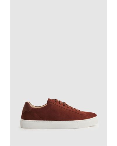 Reiss Suede - Rust Finley Trainers - Brown