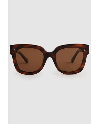 Chimi (sunglasses) - Tortoise D Shaped Acetate Sunglasses - Brown