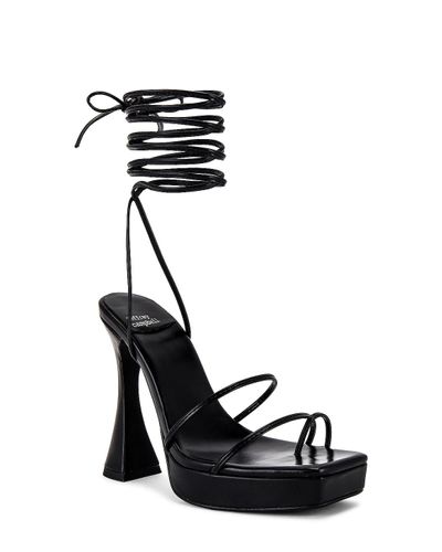 jeffrey campbell primadonna heels