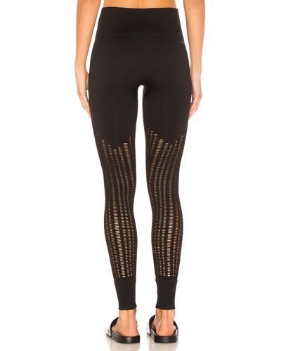 bloch light tan tights