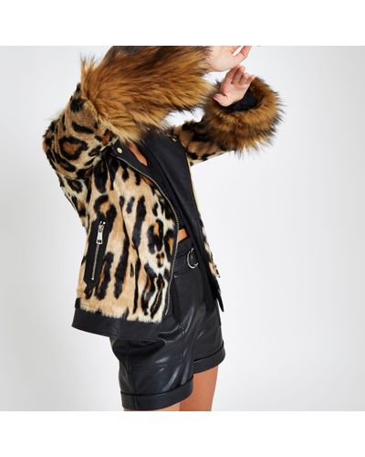 leopard print jacket river island
