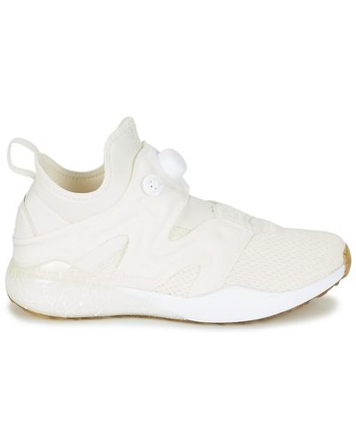 reebok the pump izarre