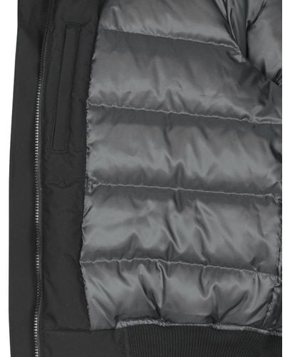 lacoste bh8400