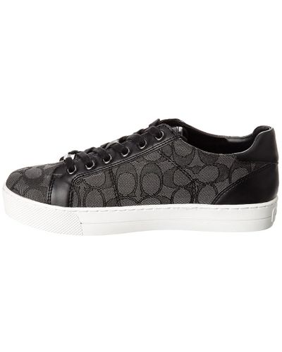 coach paddy sneakers