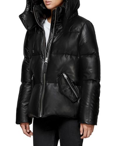 han solo jacket hot topic