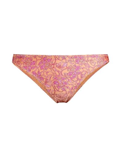 isla bikini bottom