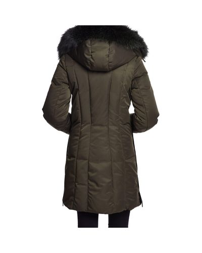 dawn levy luna jacket