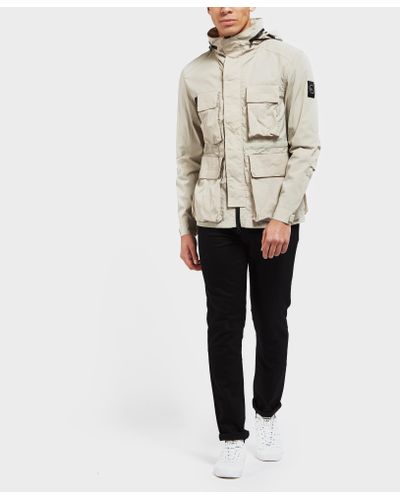 marshall artist compacta