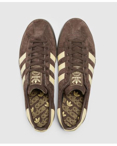 adidas broomfield trainers brown