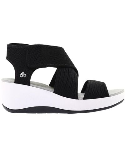 clarks cali palm