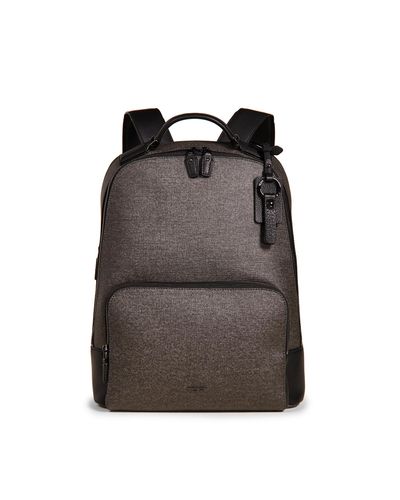 tumi earl grey backpack