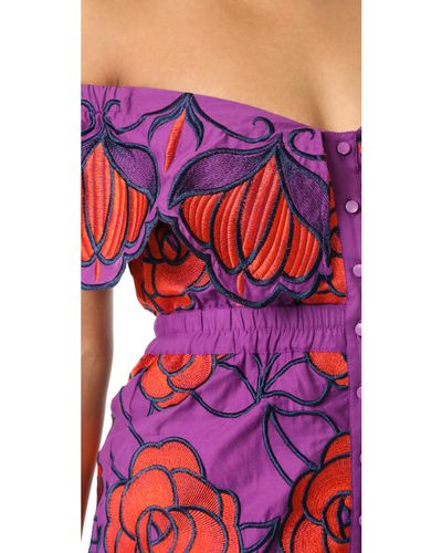 alice mccall tutti frutti dress