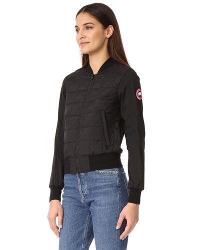 rainforest winter pocket