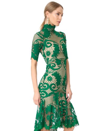 thurley green lace dress