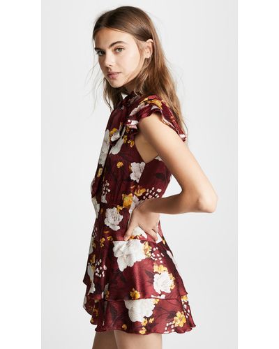 alice and olivia lashay ruffle dress