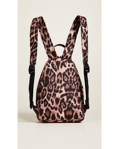 herschel desert cheetah