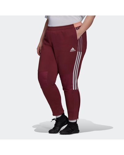 favorites winterized track pants
