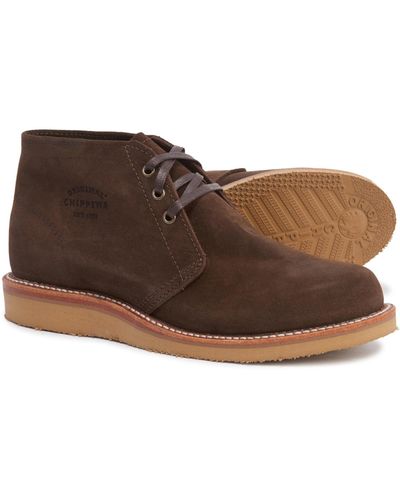 sierra trading post chippewa