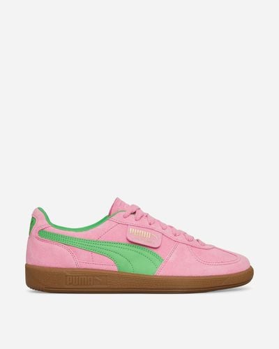 PUMA Palermo Special Sneakers Delight / Green - Pink