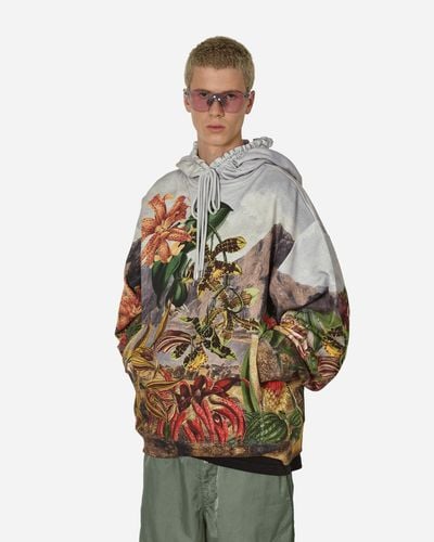 Dries Van Noten Botanical Landscape Hooded Sweatshirt - Multicolour