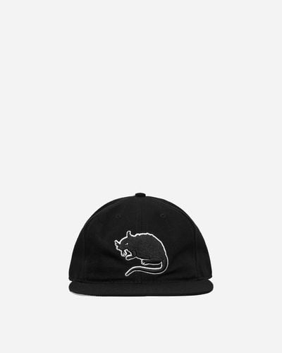 Stray Rats Rat Logo Fitted Hat - Black