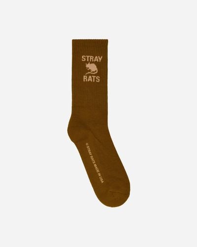 Stray Rats Logo Socks Forest - Brown