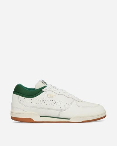 PUMA Noah Pro Star Trainers Frosted Ivory / Eden - White