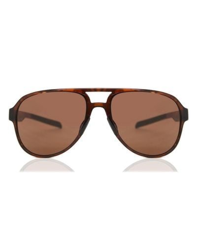 adidas pacyr sunglasses