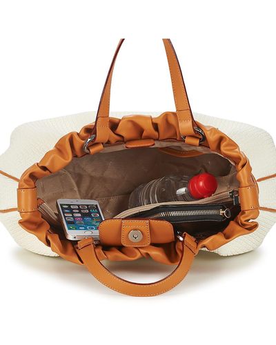 sac ted lapidus fidelio