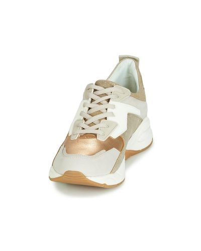 Timberland DELPHIVILLE GOLD Argenté | Baskets mode Homme/Femme – Paradisco