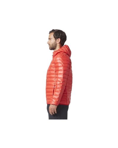 varilite hooded down jacket