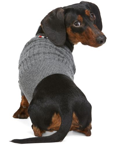 thom browne dog sweater