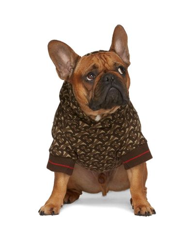 burberry dog hoodie