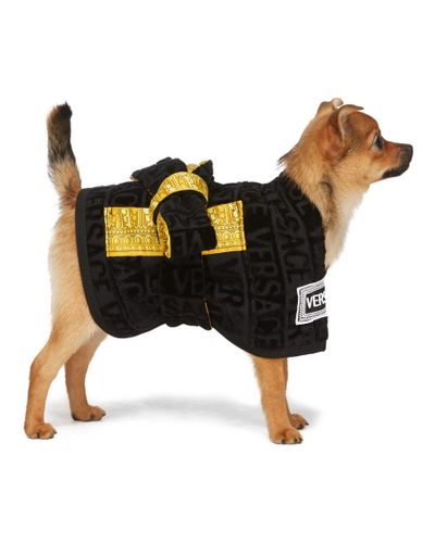 Versace dog dressing gown Clearance
