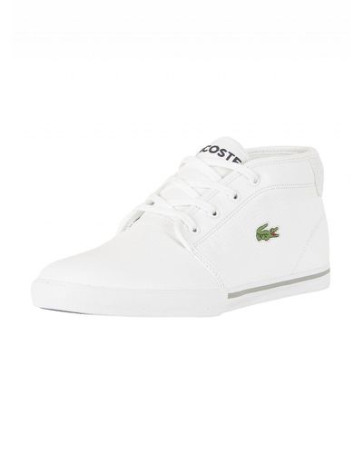 ampthill lacoste