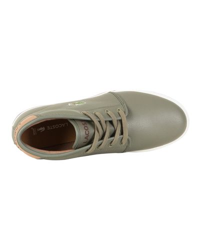 lacoste ampthill khaki