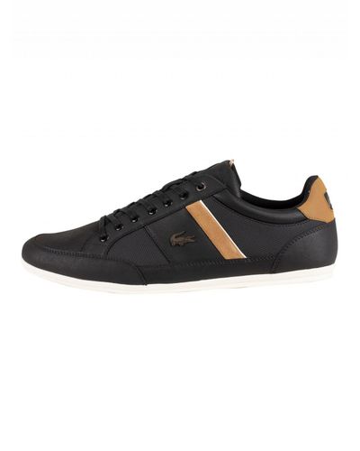 lacoste chaymon 119