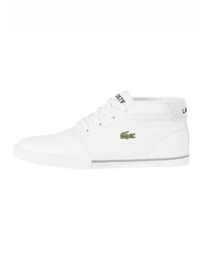 chaussure lacoste ampthill
