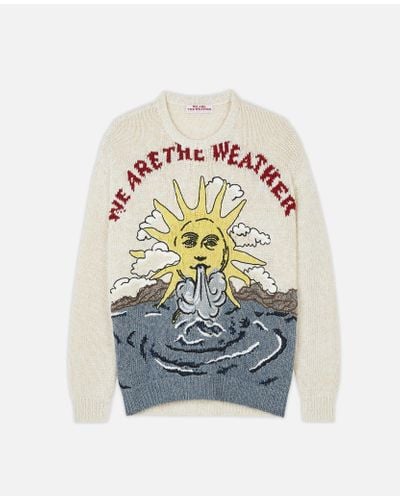 Stella McCartney "we Are The Weather" Sweater Men's Watw Capsule - Multicolour
