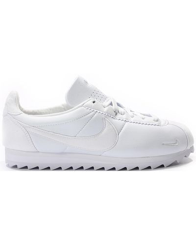 shark tooth cortez