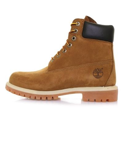 burnt orange timbs