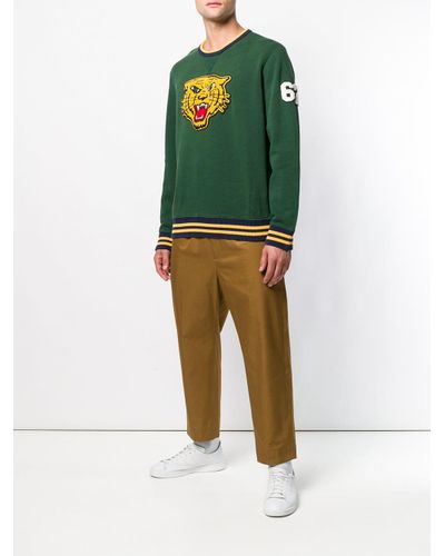 ralph lauren tiger sweatshirt