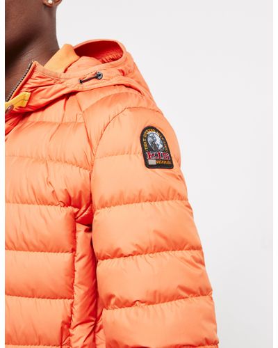 parajumper orange