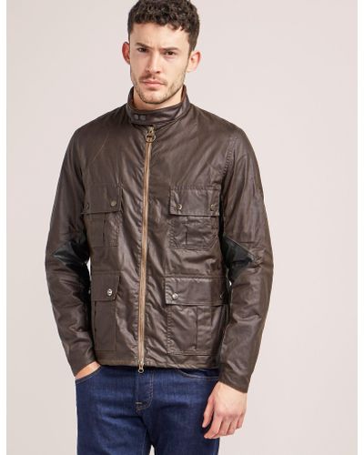 barbour chico