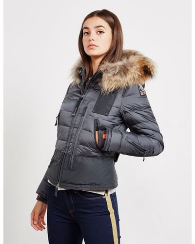 parajumpers Grey Skimaster Jacket Grey.jpeg
