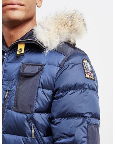 parajumper blue