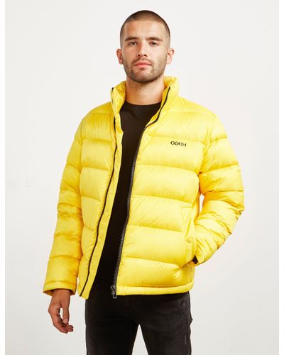 hugo yellow jacket