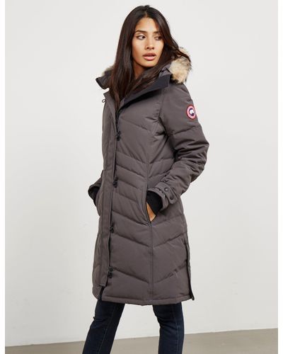 canada goose mid grey